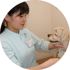 トリマーの１日